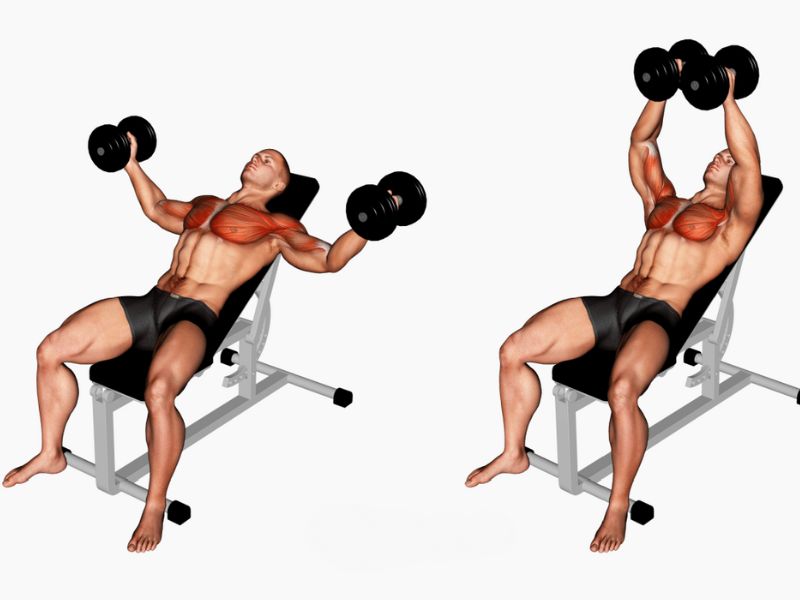 3. Incline Dumbbell Fly (Bay Ngực Ghế Nghiêng)